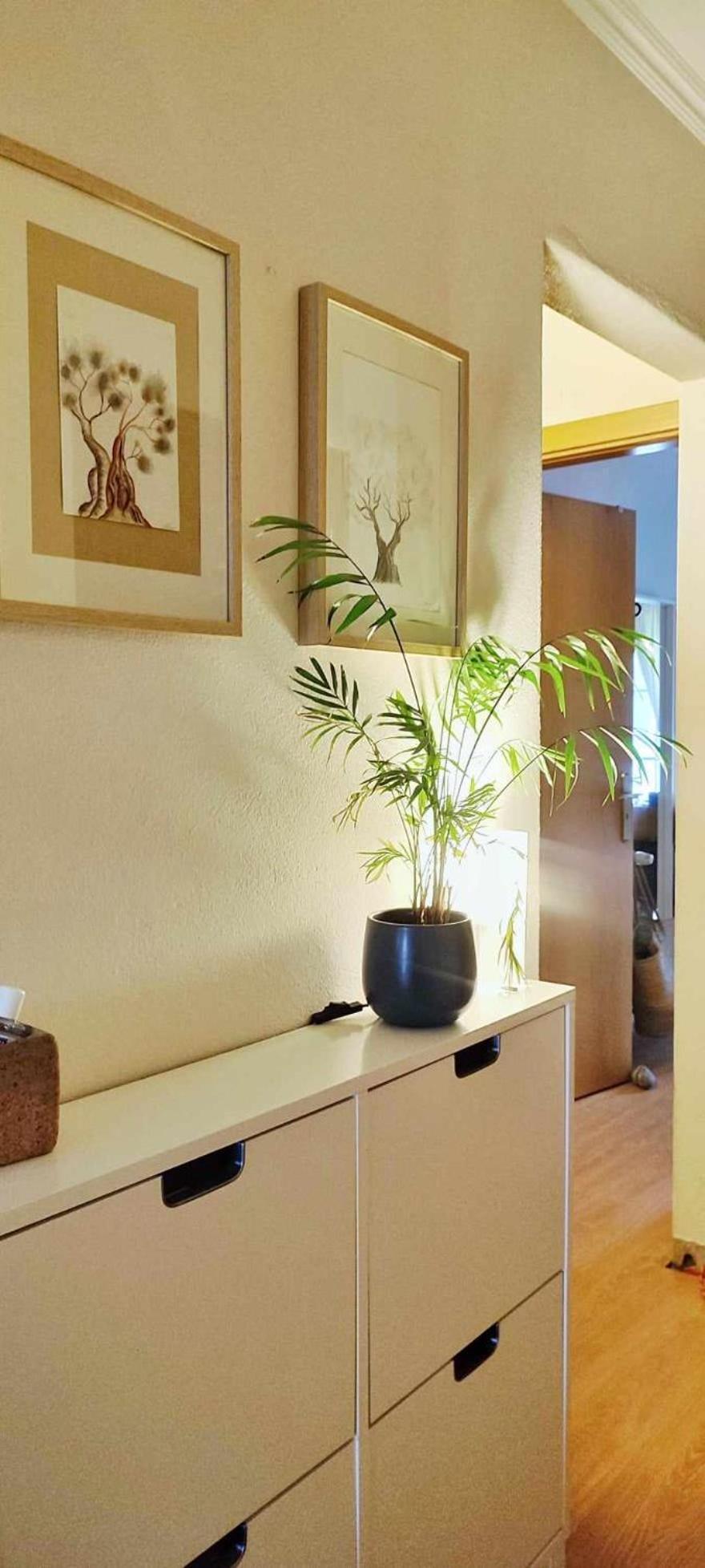 Apartmento Soma אלג'זור מראה חיצוני תמונה